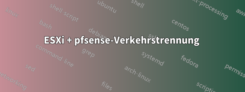 ESXi + pfsense-Verkehrstrennung