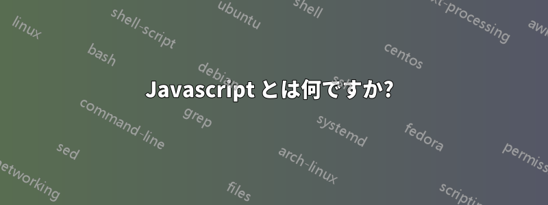 Javascript とは何ですか? 