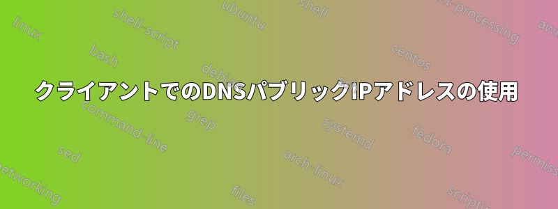 クライアントでのDNSパブリックIPアドレスの使用