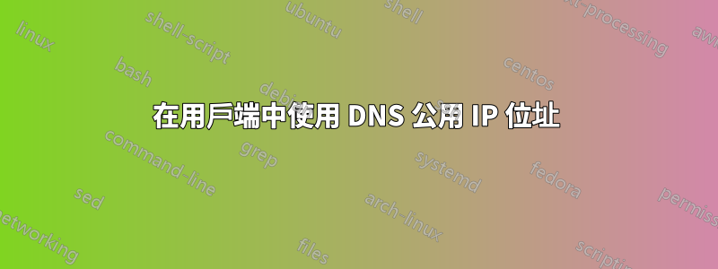 在用戶端中使用 DNS 公用 IP 位址