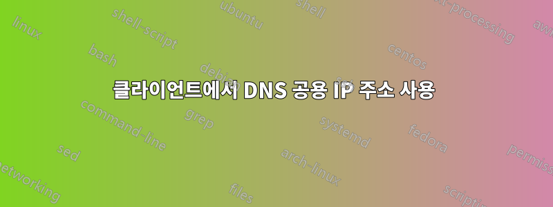 클라이언트에서 DNS 공용 IP 주소 사용