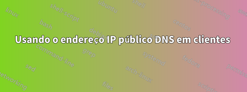 Usando o endereço IP público DNS em clientes