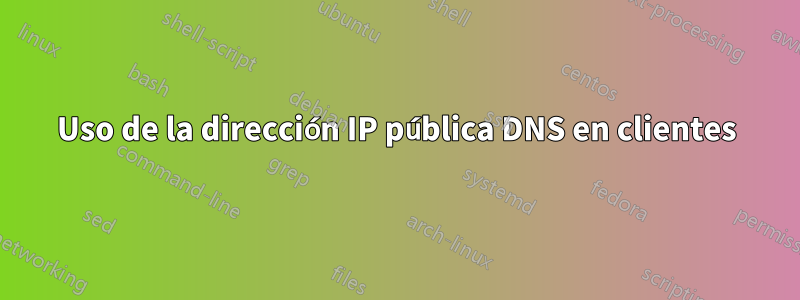 Uso de la dirección IP pública DNS en clientes