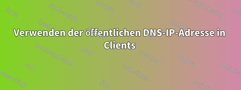 Verwenden der öffentlichen DNS-IP-Adresse in Clients