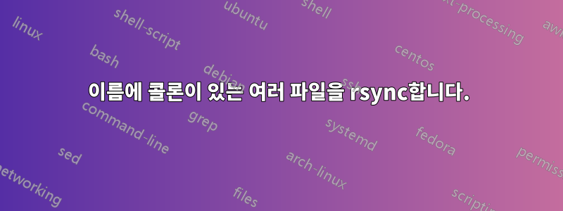 이름에 콜론이 있는 여러 파일을 rsync합니다.