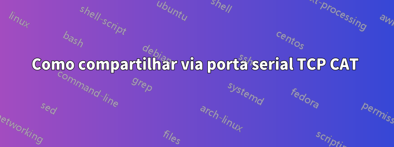 Como compartilhar via porta serial TCP CAT