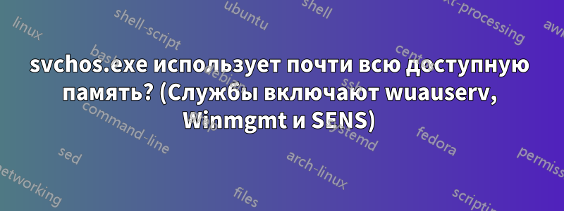 svchos.exe использует почти всю доступную память? (Службы включают wuauserv, Winmgmt и SENS)