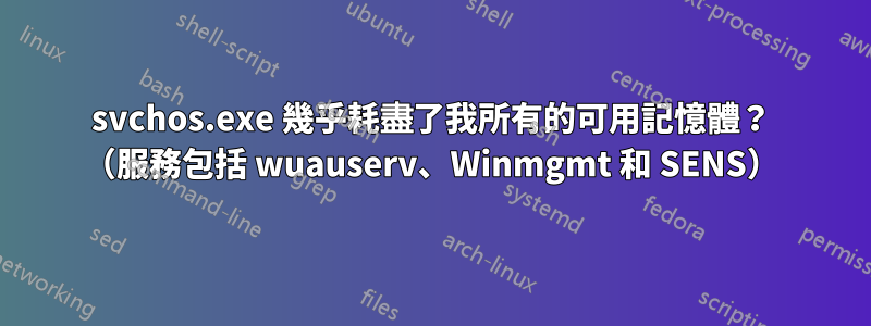 svchos.exe 幾乎耗盡了我所有的可用記憶體？ （服務包括 wuauserv、Winmgmt 和 SENS）