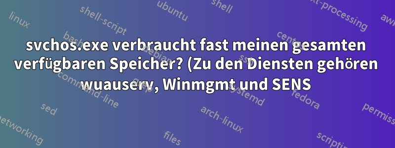svchos.exe verbraucht fast meinen gesamten verfügbaren Speicher? (Zu den Diensten gehören wuauserv, Winmgmt und SENS)