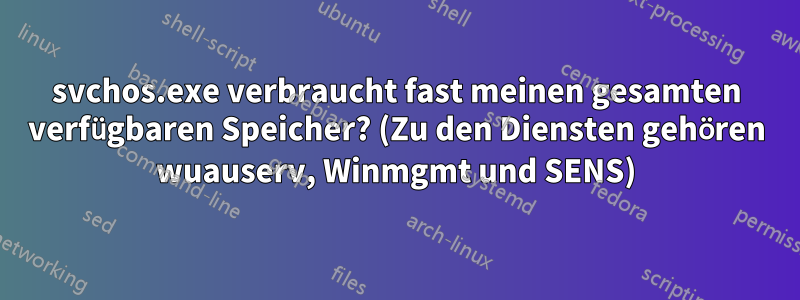 svchos.exe verbraucht fast meinen gesamten verfügbaren Speicher? (Zu den Diensten gehören wuauserv, Winmgmt und SENS)