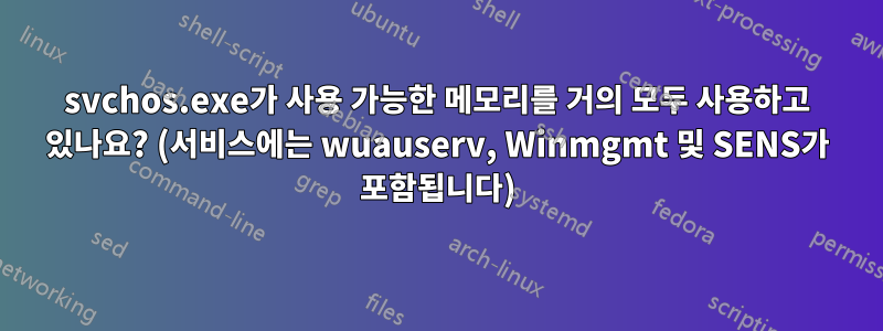 svchos.exe가 사용 가능한 메모리를 거의 모두 사용하고 있나요? (서비스에는 wuauserv, Winmgmt 및 SENS가 포함됩니다)