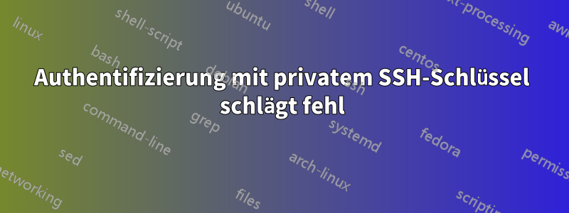 Authentifizierung mit privatem SSH-Schlüssel schlägt fehl