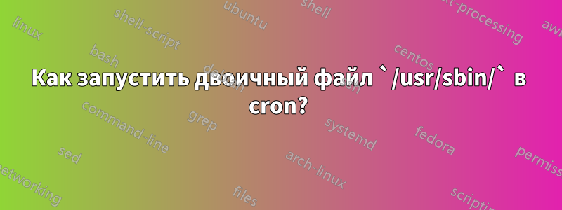 Как запустить двоичный файл `/usr/sbin/` в cron?