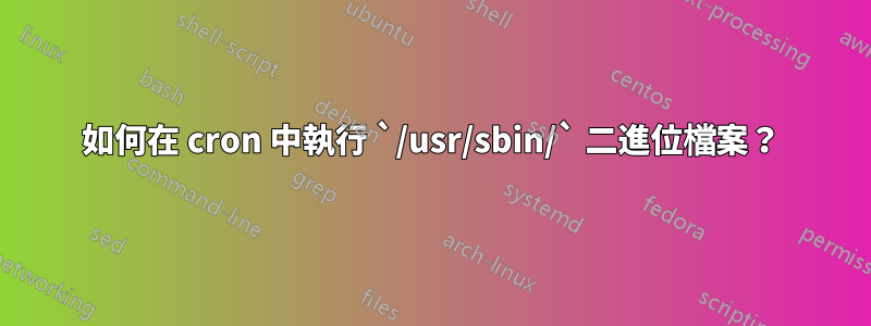 如何在 cron 中執行 `/usr/sbin/` 二進位檔案？