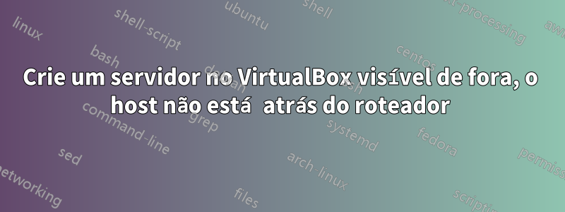 Crie um servidor no VirtualBox visível de fora, o host não está atrás do roteador