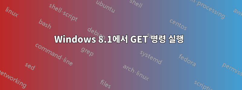 Windows 8.1에서 GET 명령 실행 