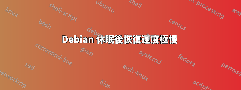 Debian 休眠後恢復速度極慢