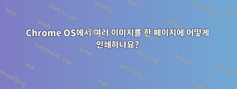 Chrome OS에서 여러 이미지를 한 페이지에 어떻게 인쇄하나요?