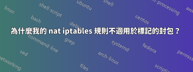 為什麼我的 nat iptables 規則不適用於標記的封包？