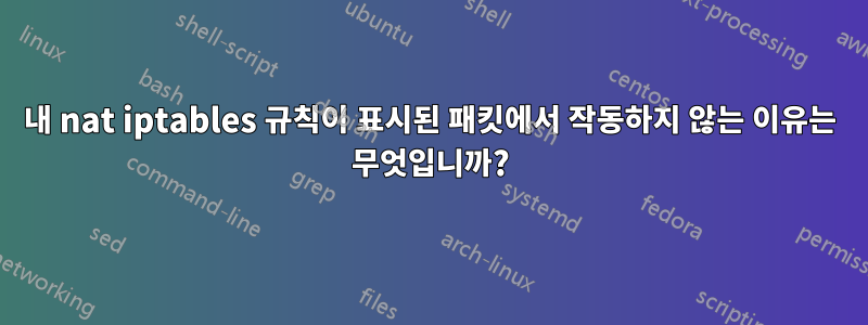 내 nat iptables 규칙이 표시된 패킷에서 작동하지 않는 이유는 무엇입니까?