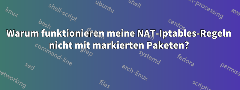 Warum funktionieren meine NAT-Iptables-Regeln nicht mit markierten Paketen?