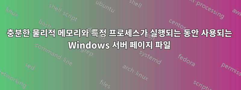 충분한 물리적 메모리와 특정 프로세스가 실행되는 동안 사용되는 Windows 서버 페이지 파일