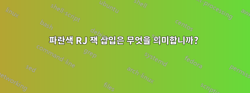 파란색 RJ 잭 삽입은 무엇을 의미합니까?