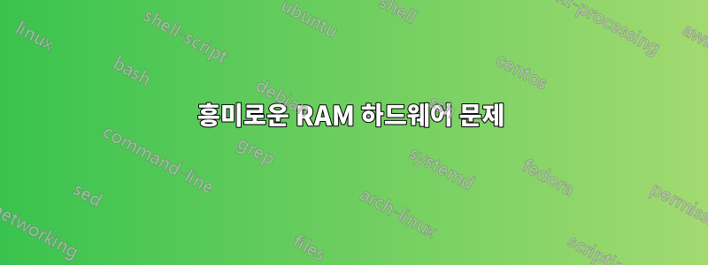 흥미로운 RAM 하드웨어 문제