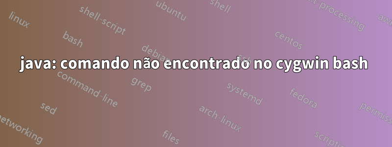 java: comando não encontrado no cygwin bash