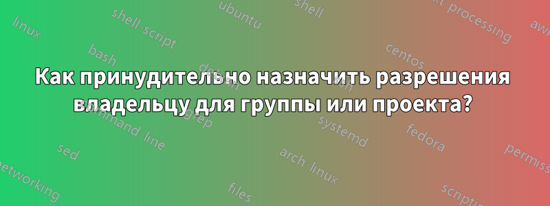 Как принудительно назначить разрешения владельцу для группы или проекта?