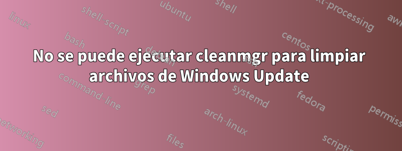 No se puede ejecutar cleanmgr para limpiar archivos de Windows Update