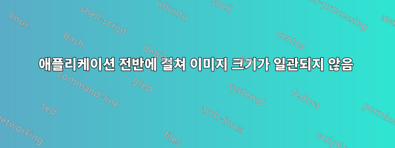 애플리케이션 전반에 걸쳐 이미지 크기가 일관되지 않음