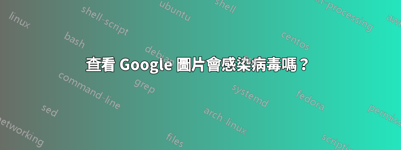 查看 Google 圖片會感染病毒嗎？