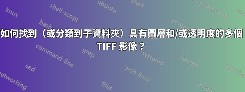 如何找到（或分類到子資料夾）具有圖層和/或透明度的多個 TIFF 影像？