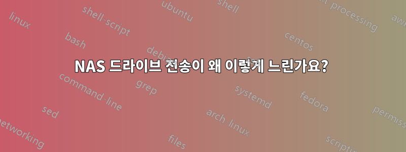 NAS 드라이브 전송이 왜 이렇게 느린가요?