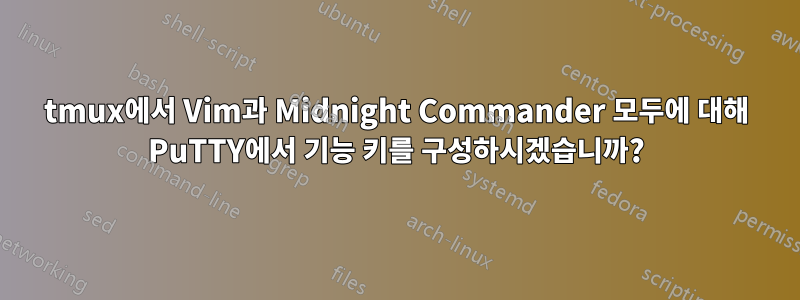 tmux에서 Vim과 Midnight Commander 모두에 대해 PuTTY에서 기능 키를 구성하시겠습니까?