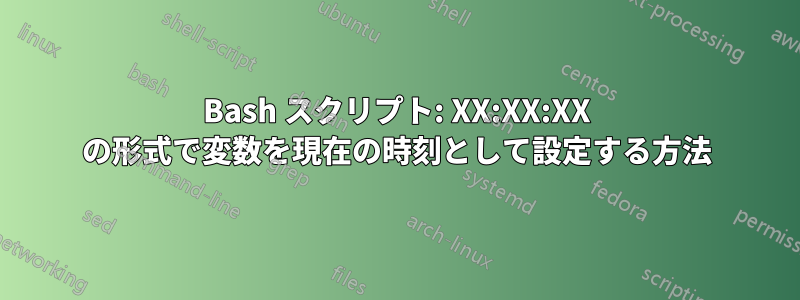 Bash スクリプト: XX:XX:XX の形式で変数を現在の時刻として設定する方法