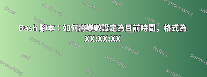 Bash 腳本：如何將變數設定為目前時間，格式為 XX:XX:XX