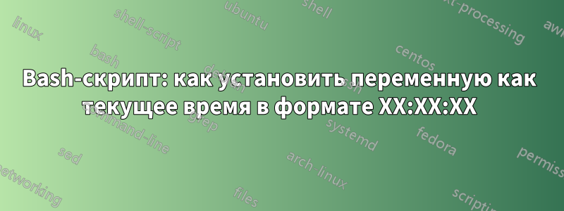 Bash-скрипт: как установить переменную как текущее время в формате XX:XX:XX