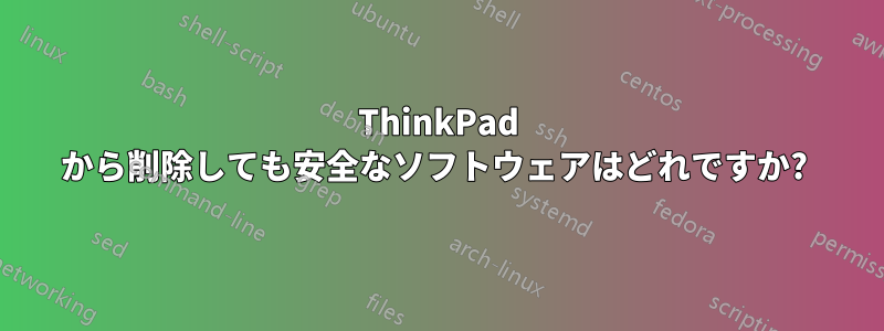 ThinkPad から削除しても安全なソフトウェアはどれですか? 