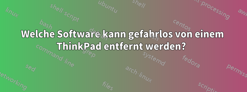 Welche Software kann gefahrlos von einem ThinkPad entfernt werden? 