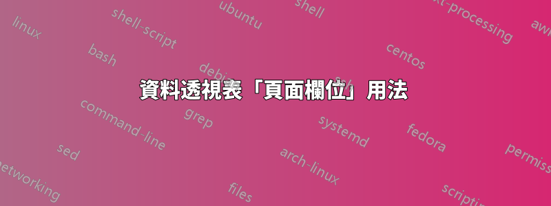 資料透視表「頁面欄位」用法