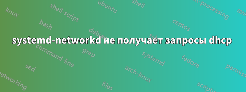 systemd-networkd не получает запросы dhcp