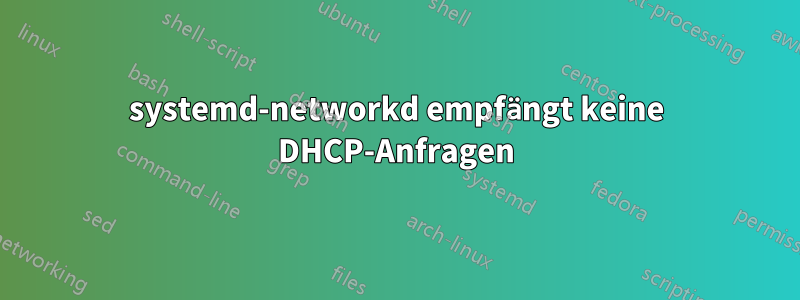 systemd-networkd empfängt keine DHCP-Anfragen