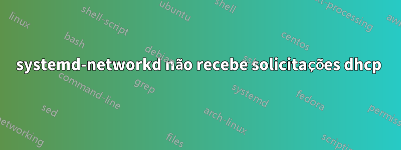 systemd-networkd não recebe solicitações dhcp