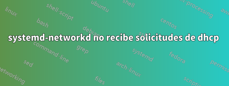 systemd-networkd no recibe solicitudes de dhcp