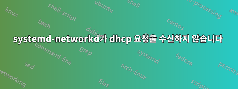 systemd-networkd가 dhcp 요청을 수신하지 않습니다