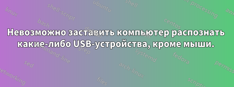 Невозможно заставить компьютер распознать какие-либо USB-устройства, кроме мыши.