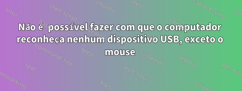 Não é possível fazer com que o computador reconheça nenhum dispositivo USB, exceto o mouse