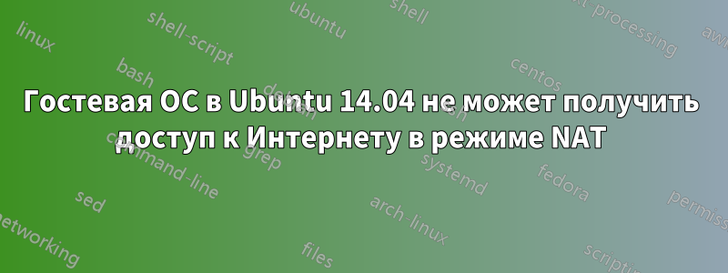 Гостевая ОС в Ubuntu 14.04 не может получить доступ к Интернету в режиме NAT